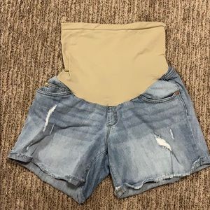 Maternity Shorts
